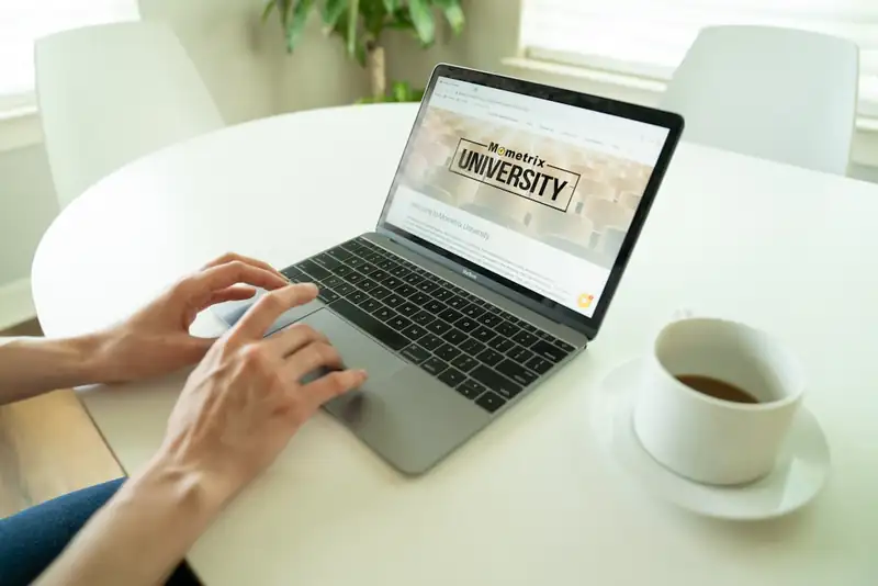 Business professional assessing the value of a website as a strategic asset